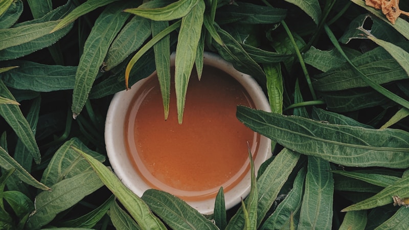 ごぼう茶を飲み続けるとどうなる?うれしい効能と注意点をやさしく解説