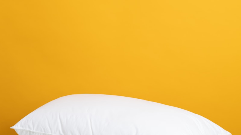 mogu抱き枕プレミアムの口コミと使い心地を徹底レビュー!通常版との違いも比較してみた